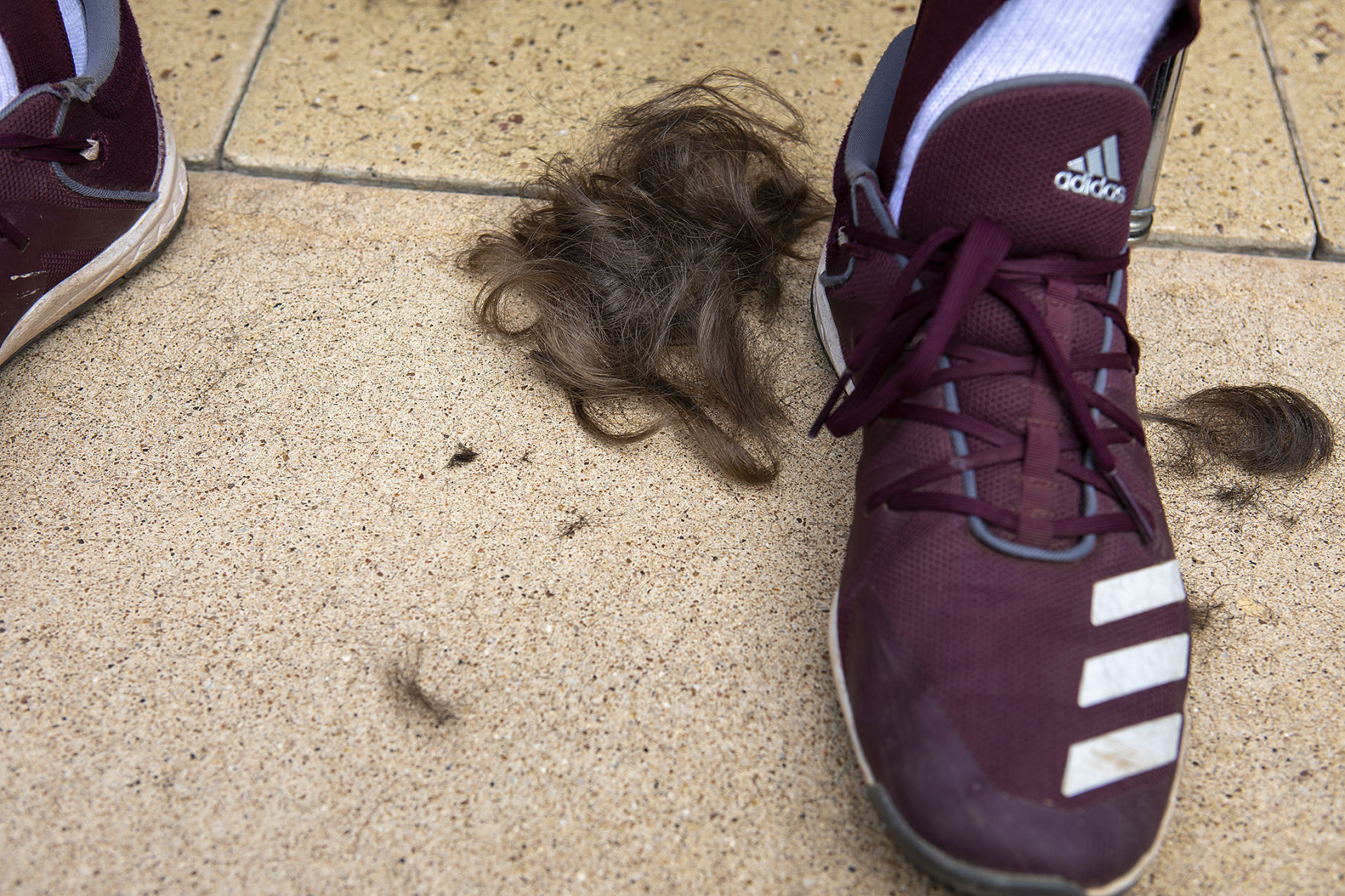 A&M baseball head shaving for cancer